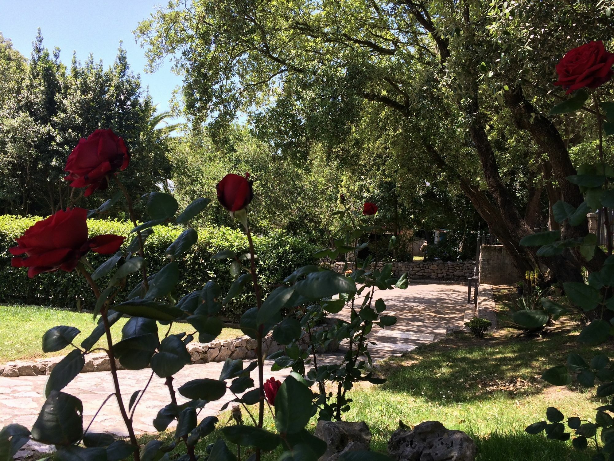 Hotel Posada La Robleda (Adults Only) Arnuero Dış mekan fotoğraf